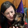 sharonthedachshundlover