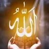 user5479860050639