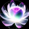 💫♓️ Vô Tâm 💫