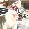 rarawrzz13
