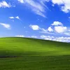 a_literal_grassfield