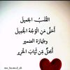 user5735528611344