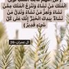 user5156081846157