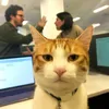 luckyymaxx67
