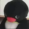 ro_xi17