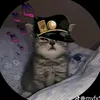 jotarojostarcat