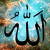 fatima.hammad86