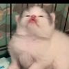 ozawajpg_