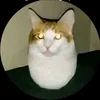 imabitlazy