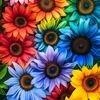 rachel.miller081973