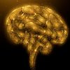 neurospells