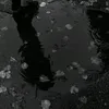 _tduymussuc