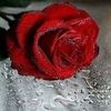 user4355714060861