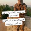 abdul.musawir35