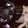 khasavskaa_51