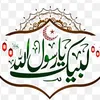 madina.madina697