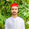 syedhashimbacha33