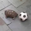 guxta_pegador