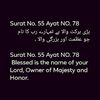 shahzaib.majeed5