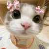 elifnovaa_