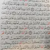 sedadnure5