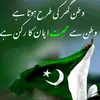 falakbibi6