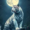 user9211385105610