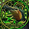 dino_animal_debater