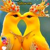 user1303779282131