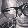 pet.pevv