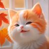 cutey_cat_