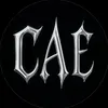 206.cae