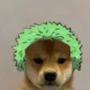 zoro.lost.audios