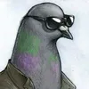 gloub_official