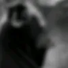 1as_adi