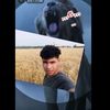 grabielayala940