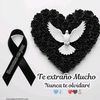 dulce.rojas15