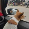ester m m panggabean