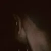 samuel.silva..6