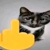 alexis_gs8