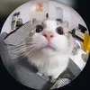 nhgbao7