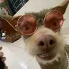 41jwtjttjj_