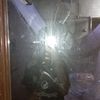 hanzin424