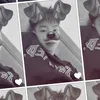 nguyentuananh170410
