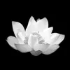 .oanh897