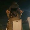 micke_444_