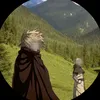 zorloss