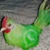 seeerwaneo