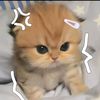 ji_han298