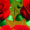 user3018492513886